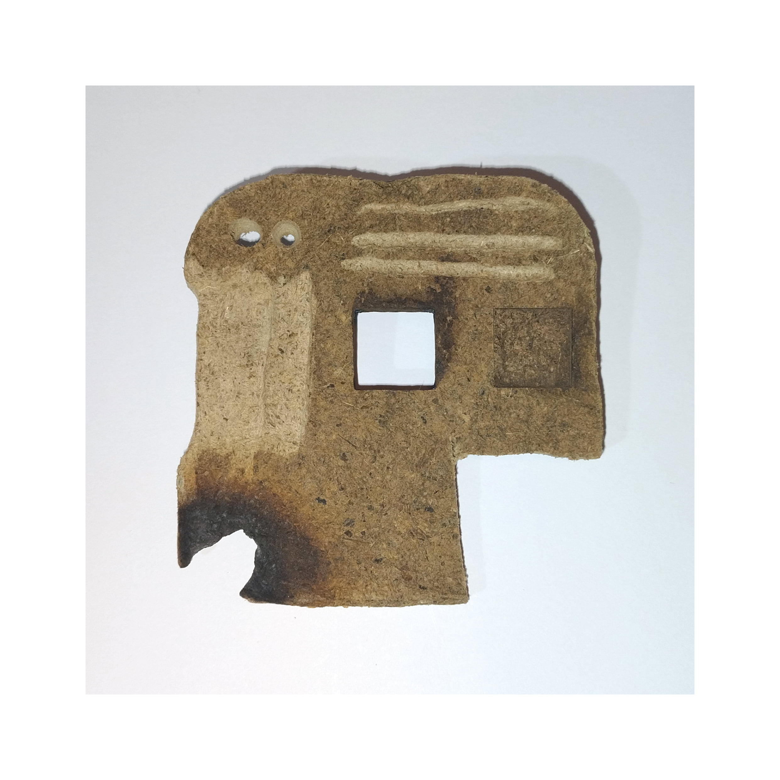 Leaf Pulp Image 8